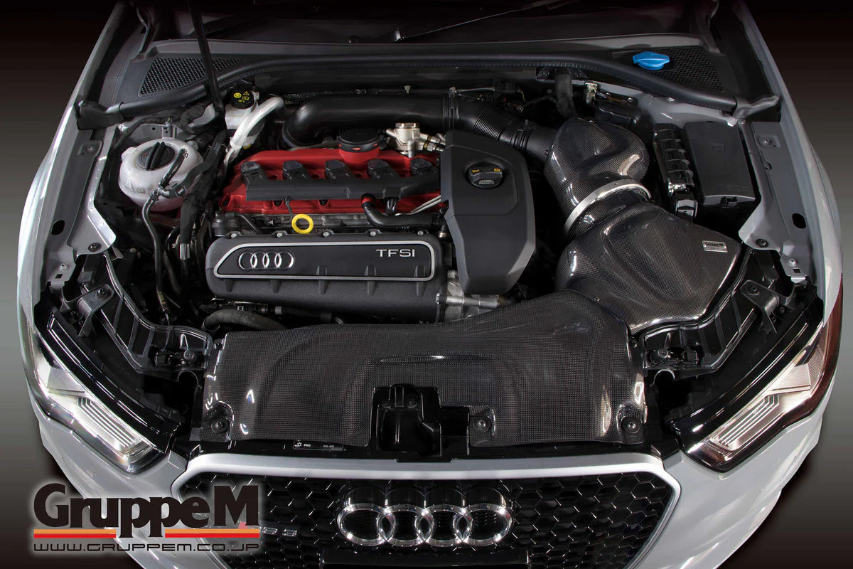 Admision de carbono Gruppe M para Audi RS3 8V